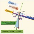 Principles of Flight